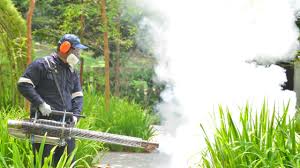 Best Fumigation Services  in Bay City, OR